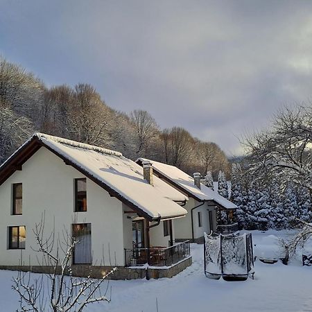 Тиловите Къщи Ribaritsa Exteriör bild